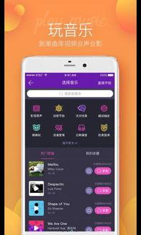 爆料短视频下载安装手机版,一键操作，轻松体验  第3张